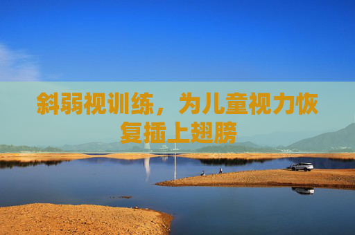 斜弱视训练,为儿童视力恢复插上翅膀 斜弱视训练,为儿童视力恢复插上翅膀