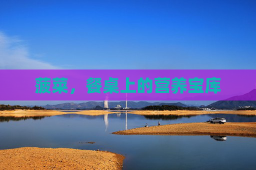 菠菜,餐桌上的营养宝库 菠菜,餐桌上的营养宝库