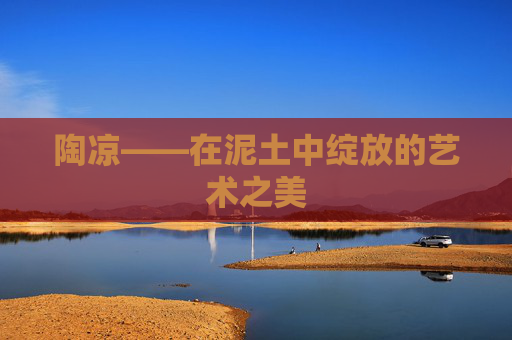 陶凉——在泥土中绽放的艺术之美