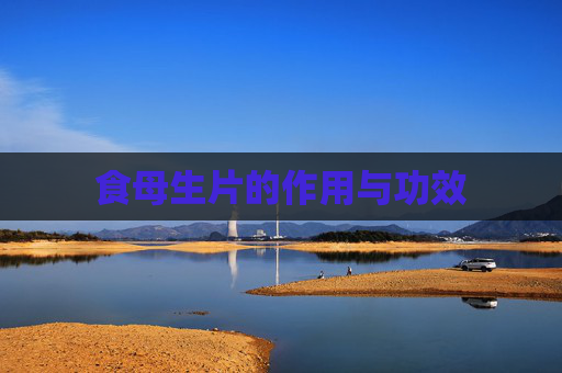 食母生片的作用与功效