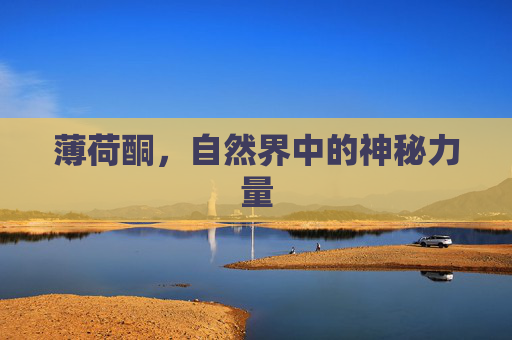 薄荷酮，自然界中的神秘力量