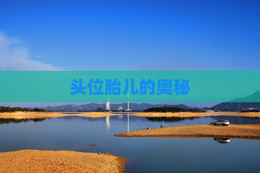 头位胎儿的奥秘 头位胎儿的奥秘