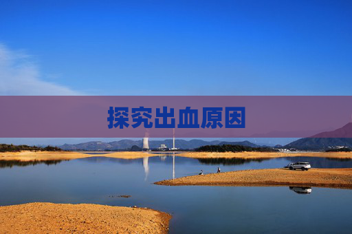 探究出血原因