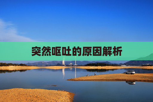 突然呕吐的原因解析