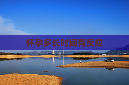 怀孕多长时间有反应