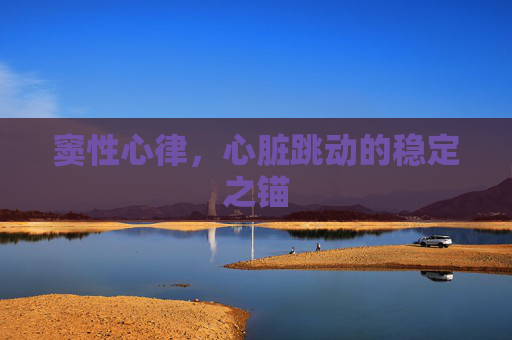 窦性心律，心脏跳动的稳定之锚