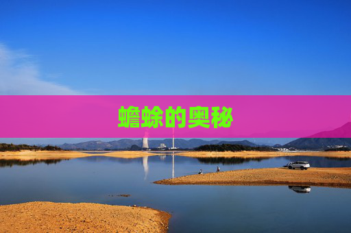 蟾蜍的奥秘