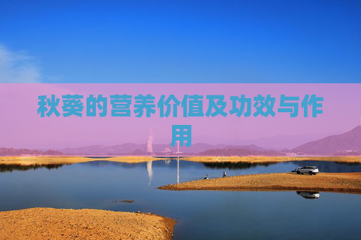 秋葵的营养价值及功效与作用