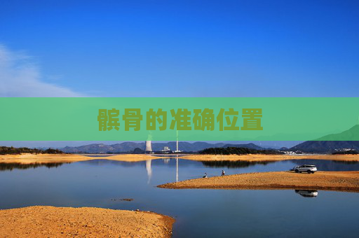 髌骨的准确位置