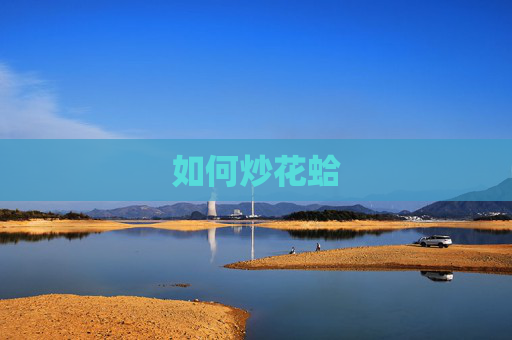 如何炒花蛤