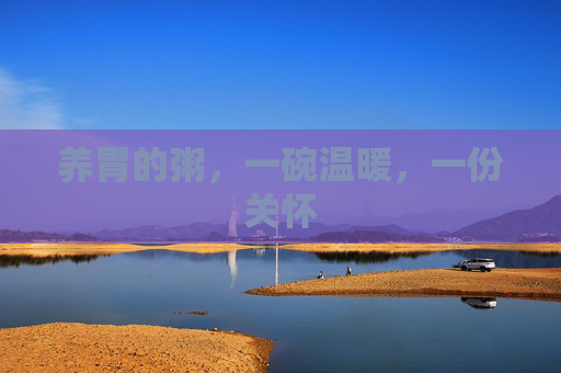 养胃的粥，一碗温暖，一份关怀