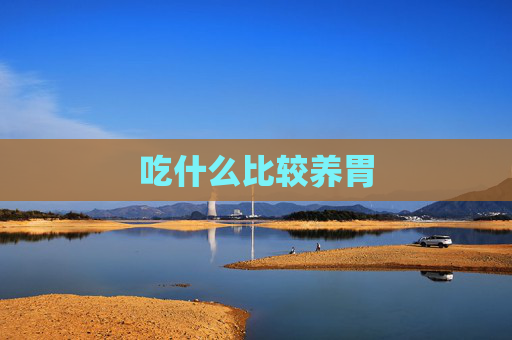 吃什么比较养胃