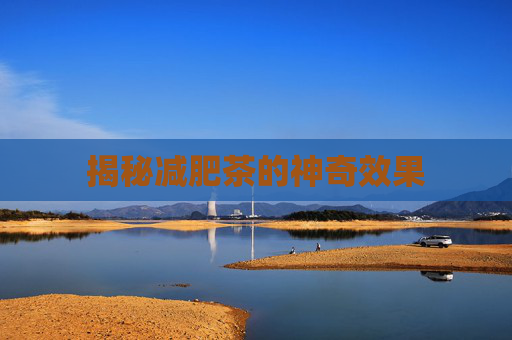 揭秘减肥茶的神奇效果