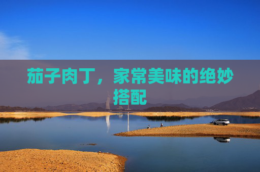 茄子肉丁，家常美味的绝妙搭配