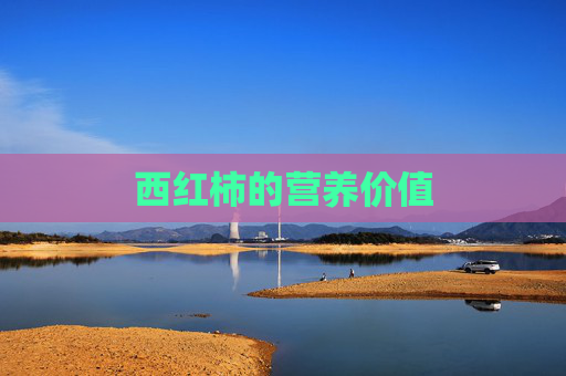 西红柿的营养价值