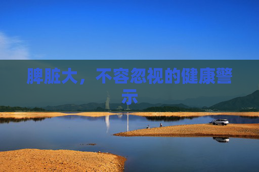 脾脏大，不容忽视的健康警示