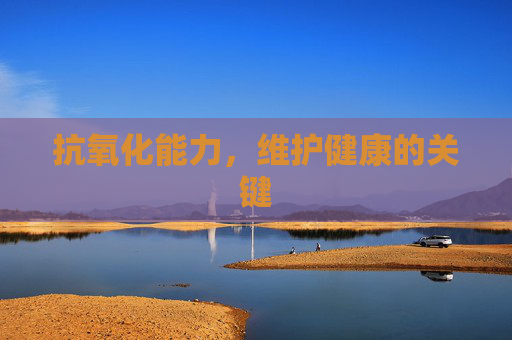 抗氧化能力,维护健康的关键 抗氧化能力,维护健康的关键