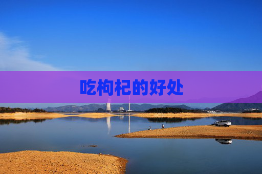 吃枸杞的好处 吃枸杞的好处