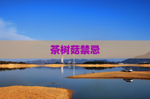 茶树菇禁忌 茶树菇禁忌