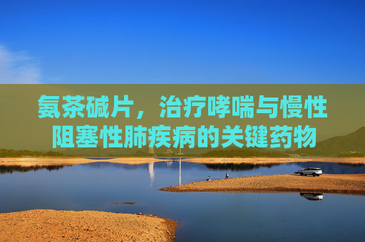 氨茶碱片，治疗哮喘与慢性阻塞性肺疾病的关键药物