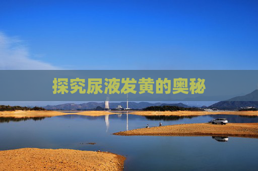 探究尿液发黄的奥秘