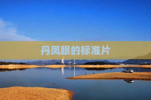 丹凤眼的标准片