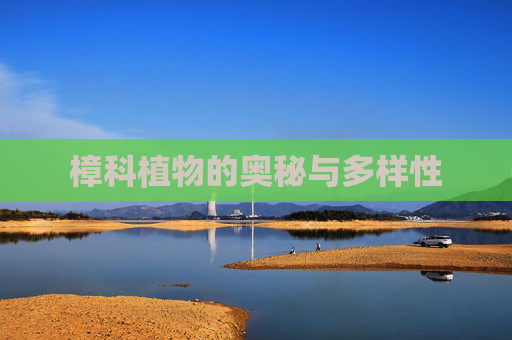 樟科植物的奥秘与多样性