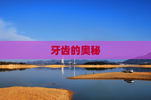 牙齿的奥秘