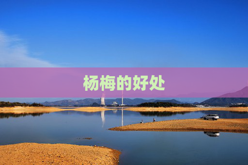 杨梅的好处
