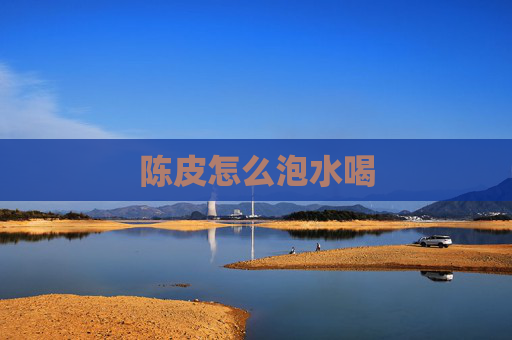 陈皮怎么泡水喝
