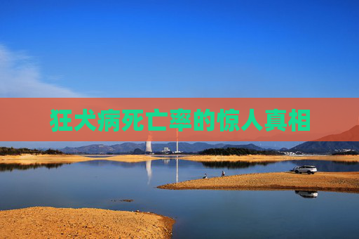 狂犬病死亡率的惊人真相