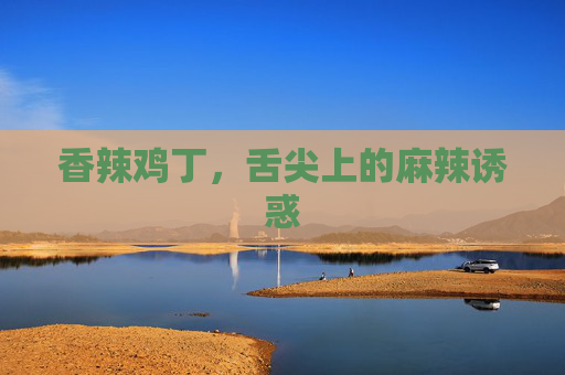 香辣鸡丁，舌尖上的麻辣诱惑