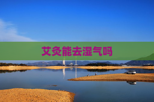 艾灸能去湿气吗