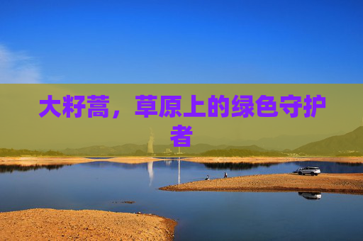 大籽蒿，草原上的绿色守护者