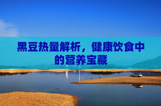 黑豆热量解析，健康饮食中的营养宝藏