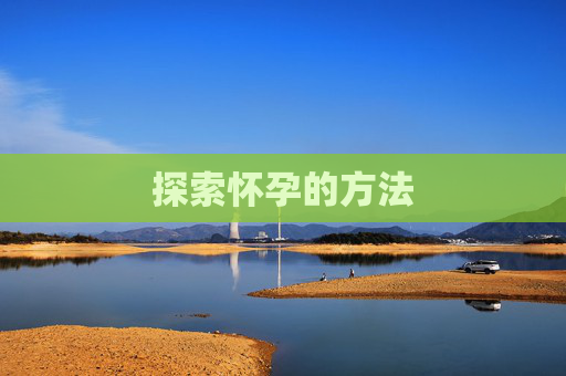 探索怀孕的方法