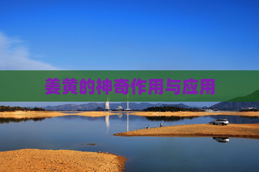 姜黄的神奇作用与应用