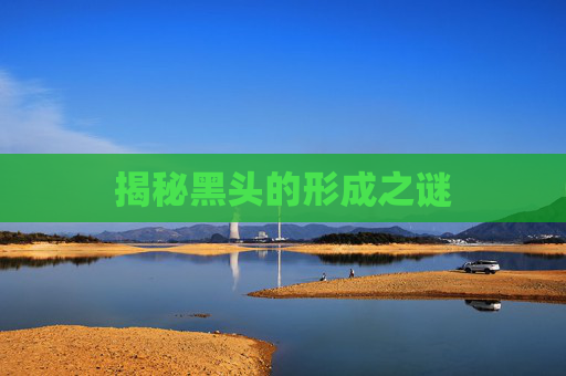 揭秘黑头的形成之谜 揭秘黑头的形成之谜