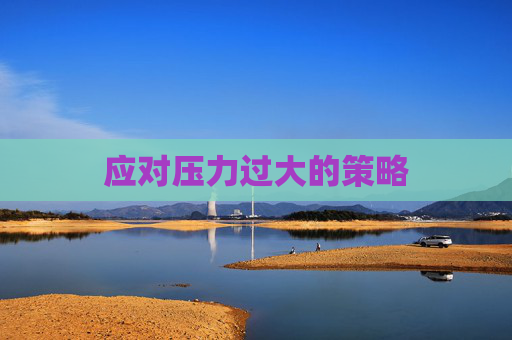 应对压力过大的策略 应对压力过大的策略