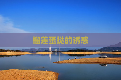 榴莲蛋挞的诱惑 榴莲蛋挞的诱惑