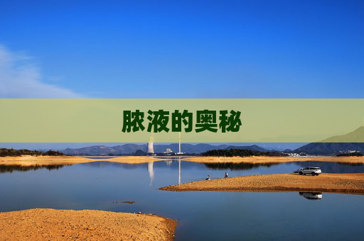脓液的奥秘 脓液的奥秘
