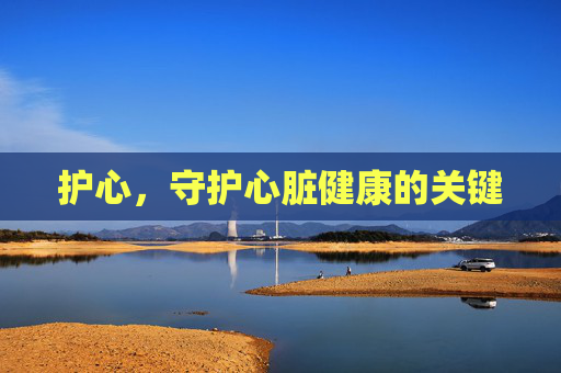 护心，守护心脏健康的关键