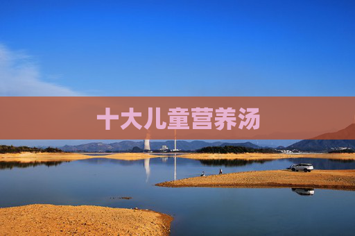 十大儿童营养汤