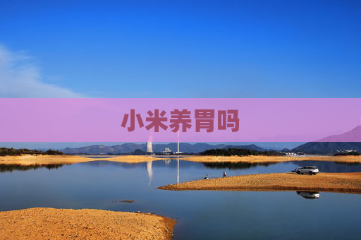 小米养胃吗