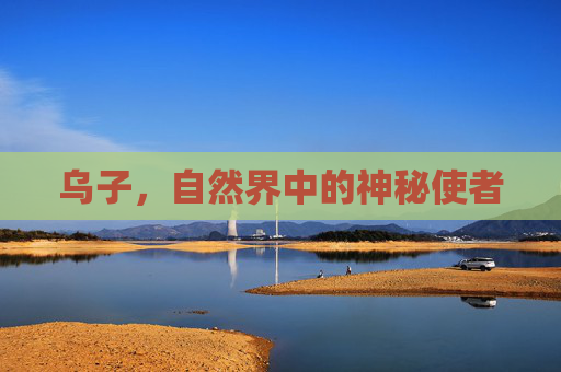 乌子，自然界中的神秘使者