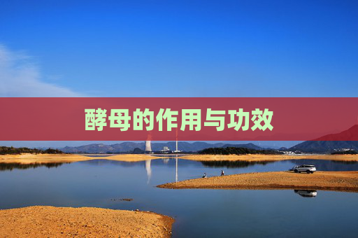 酵母的作用与功效