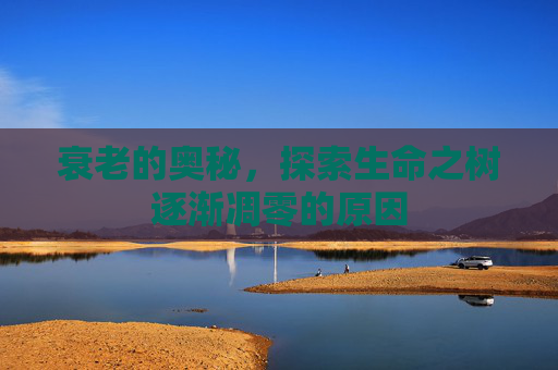衰老的奥秘，探索生命之树逐渐凋零的原因