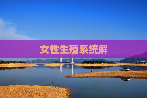 女性生殖系统解