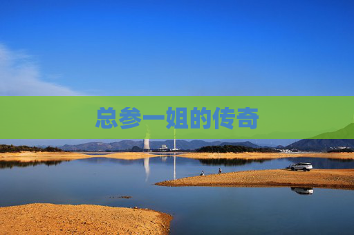总参一姐的传奇