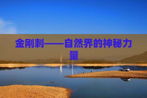 金刚刺——自然界的神秘力量